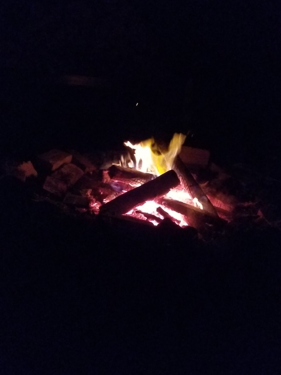 20200731_211847.jpg