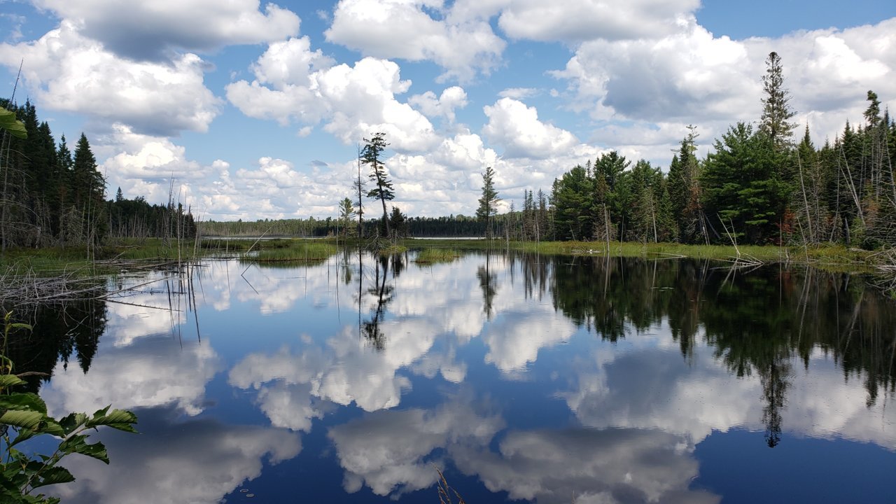 20200801_132930.jpg