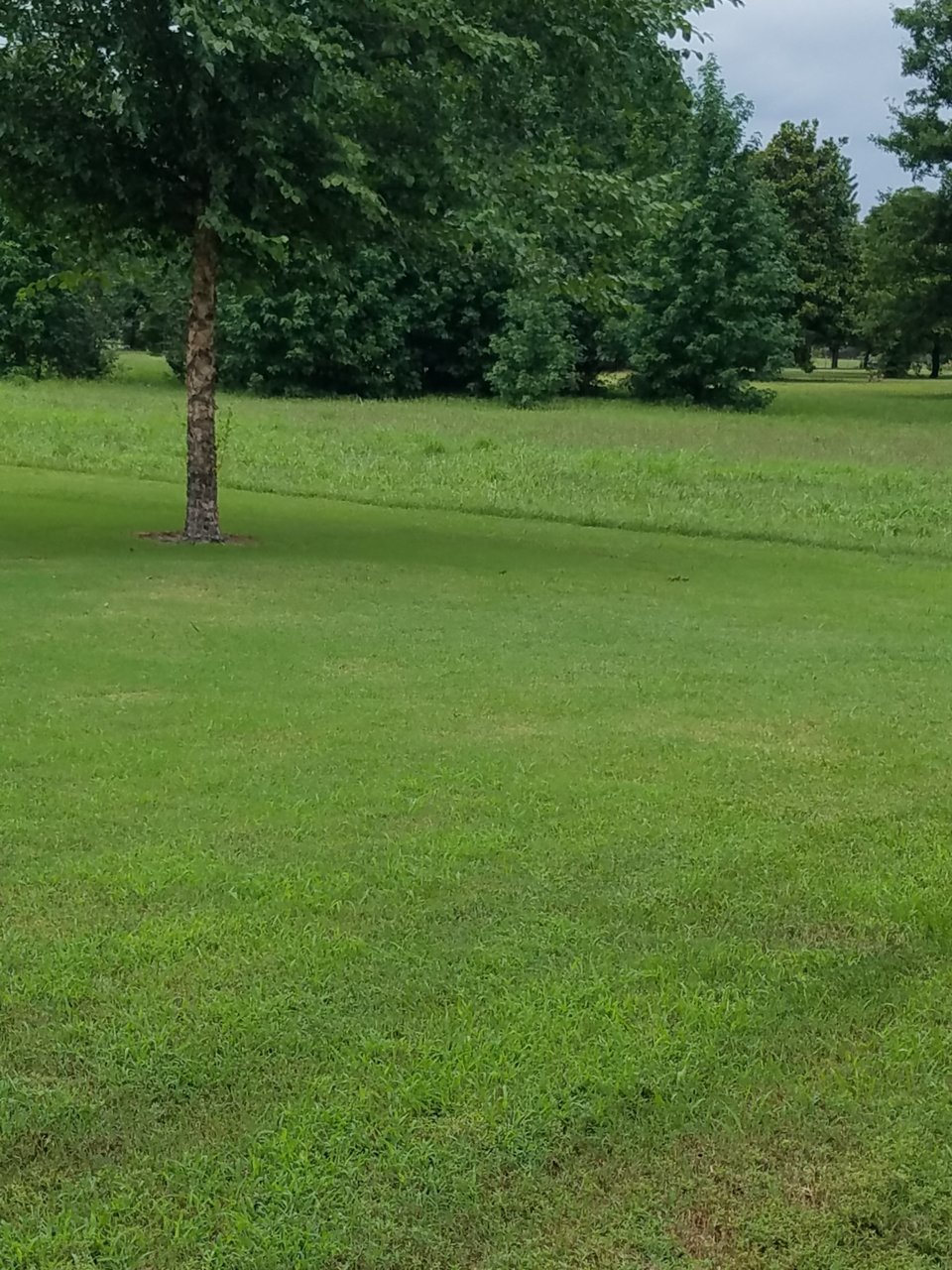 20200801_140948.jpg