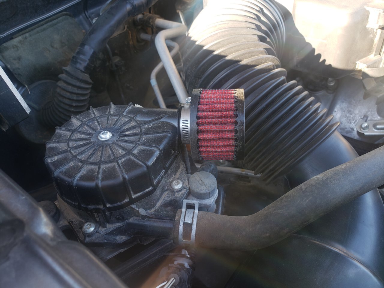 20200801_185348.jpg