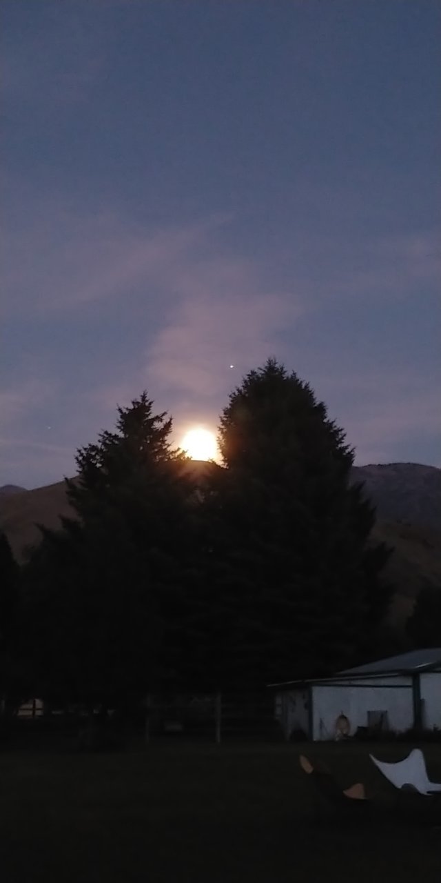 20200801_213843.jpg