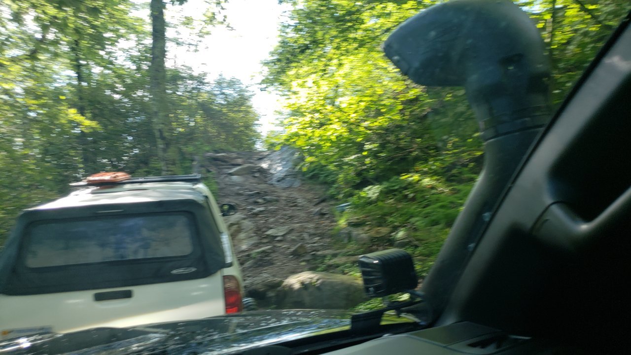 20200802_085206.jpg