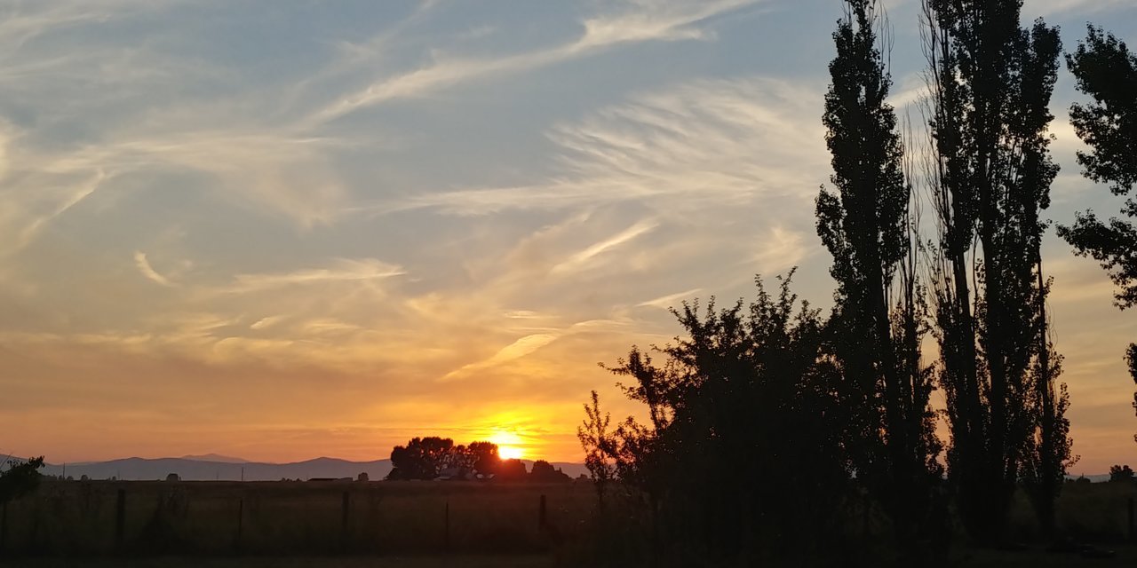 20200802_205831_HDR.jpg