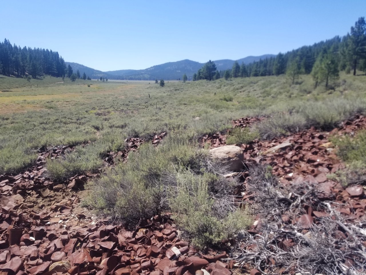 20200803_144807.jpg
