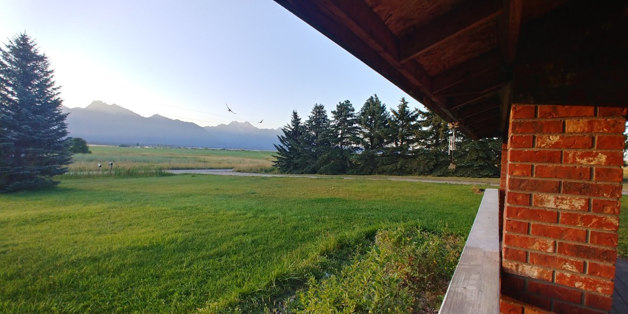 20200804_070331_HDR.jpg