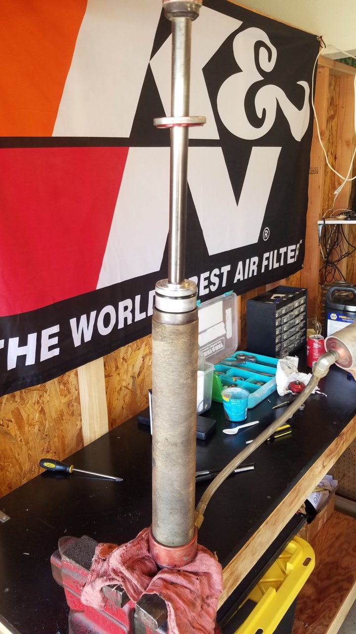 20200804_124823.jpg