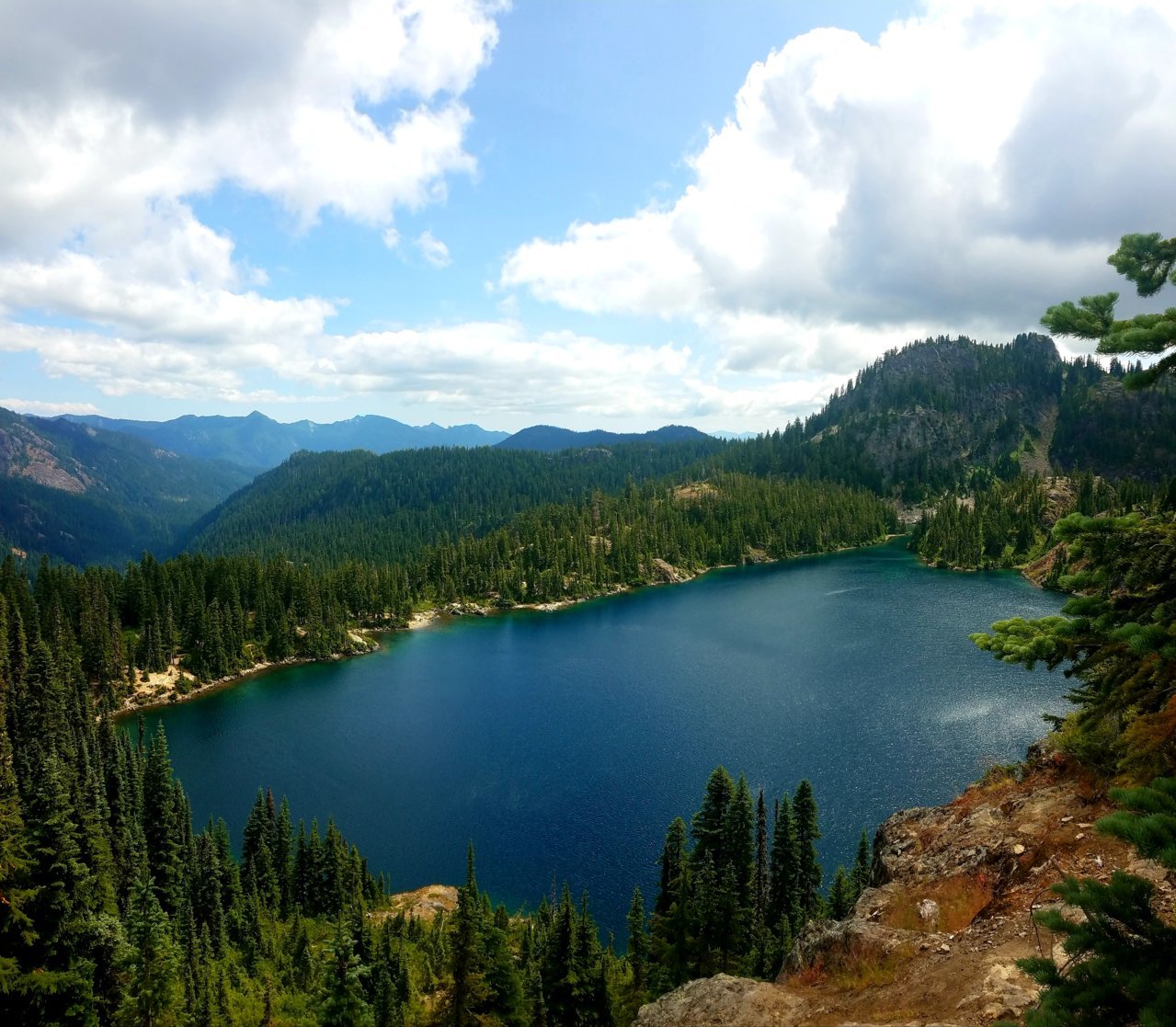 20200805_134008.jpg