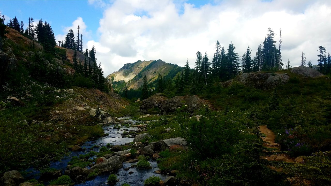 20200805_134037.jpg