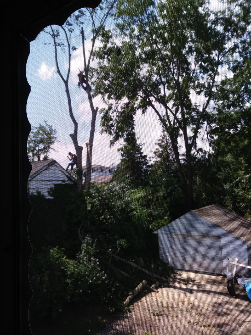 20200805_145848.jpg