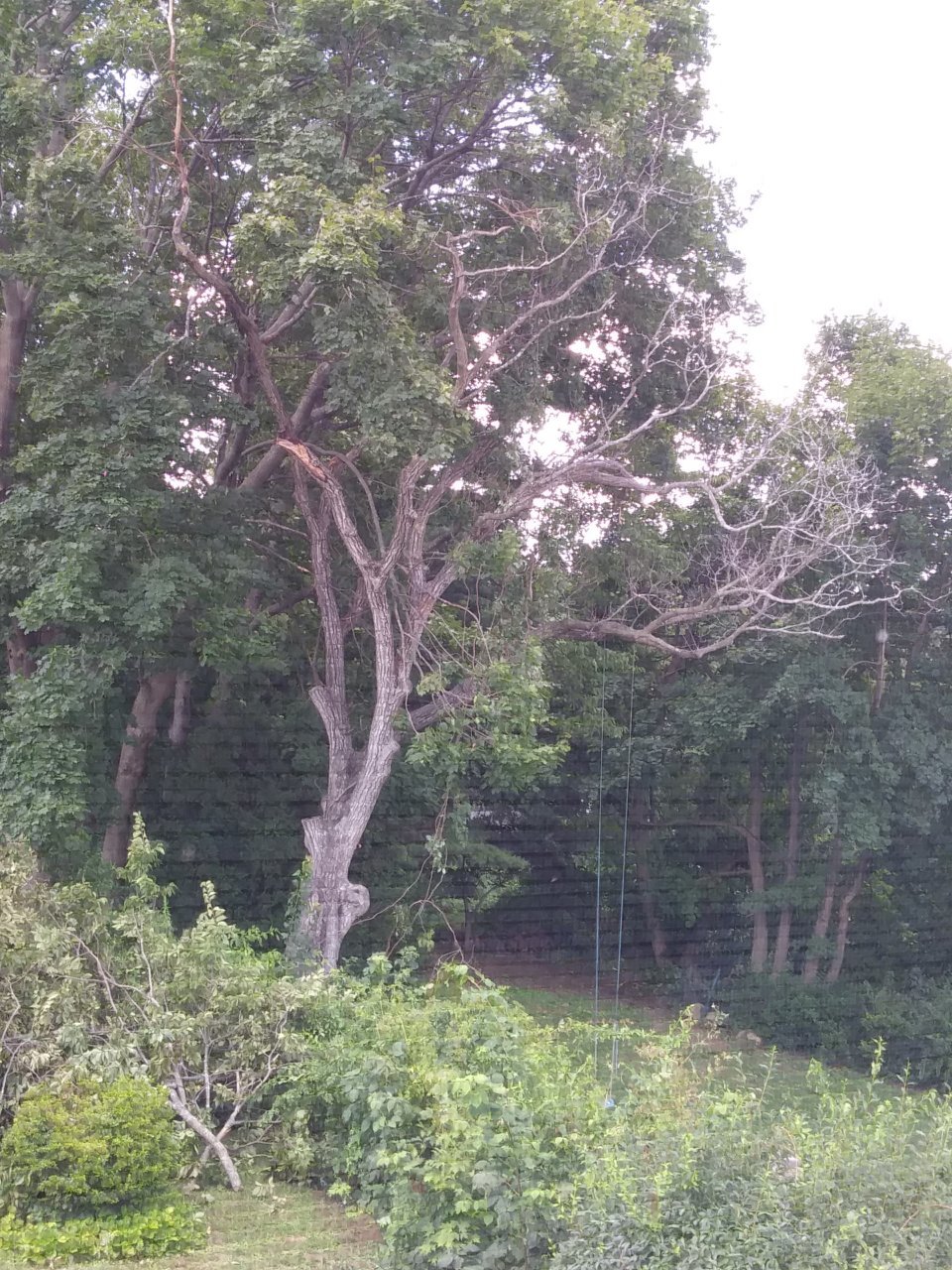 20200805_153229.jpg