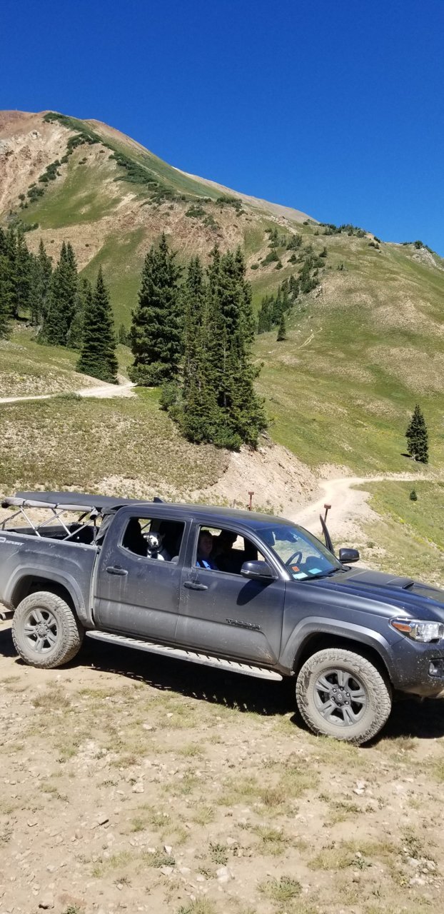 2020 Terrain Wash and Wax Kit, Adams Polishes