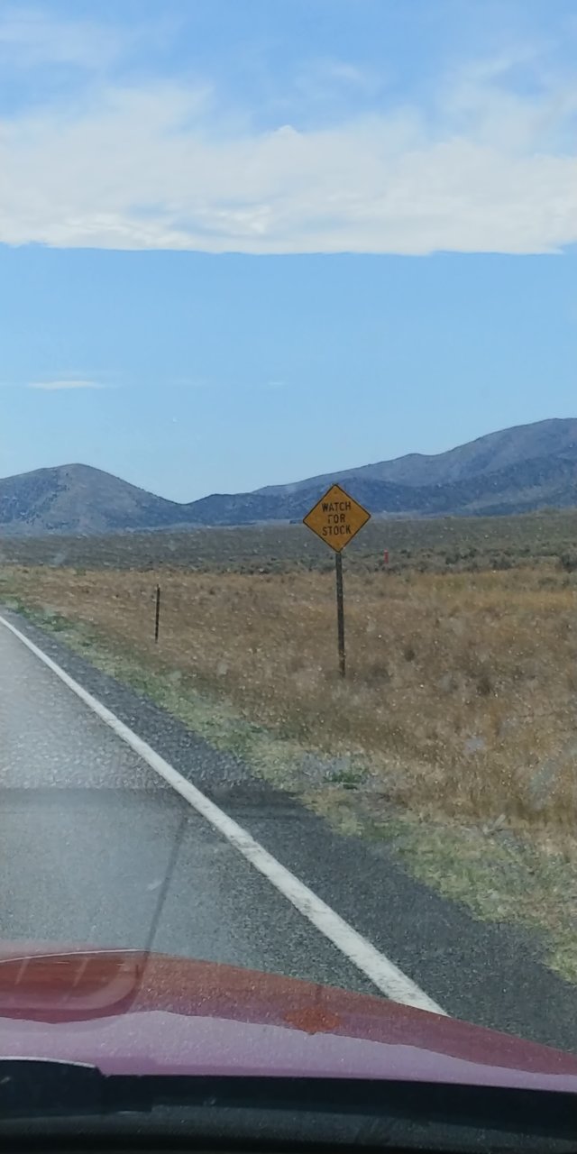 20200808_153020.jpg
