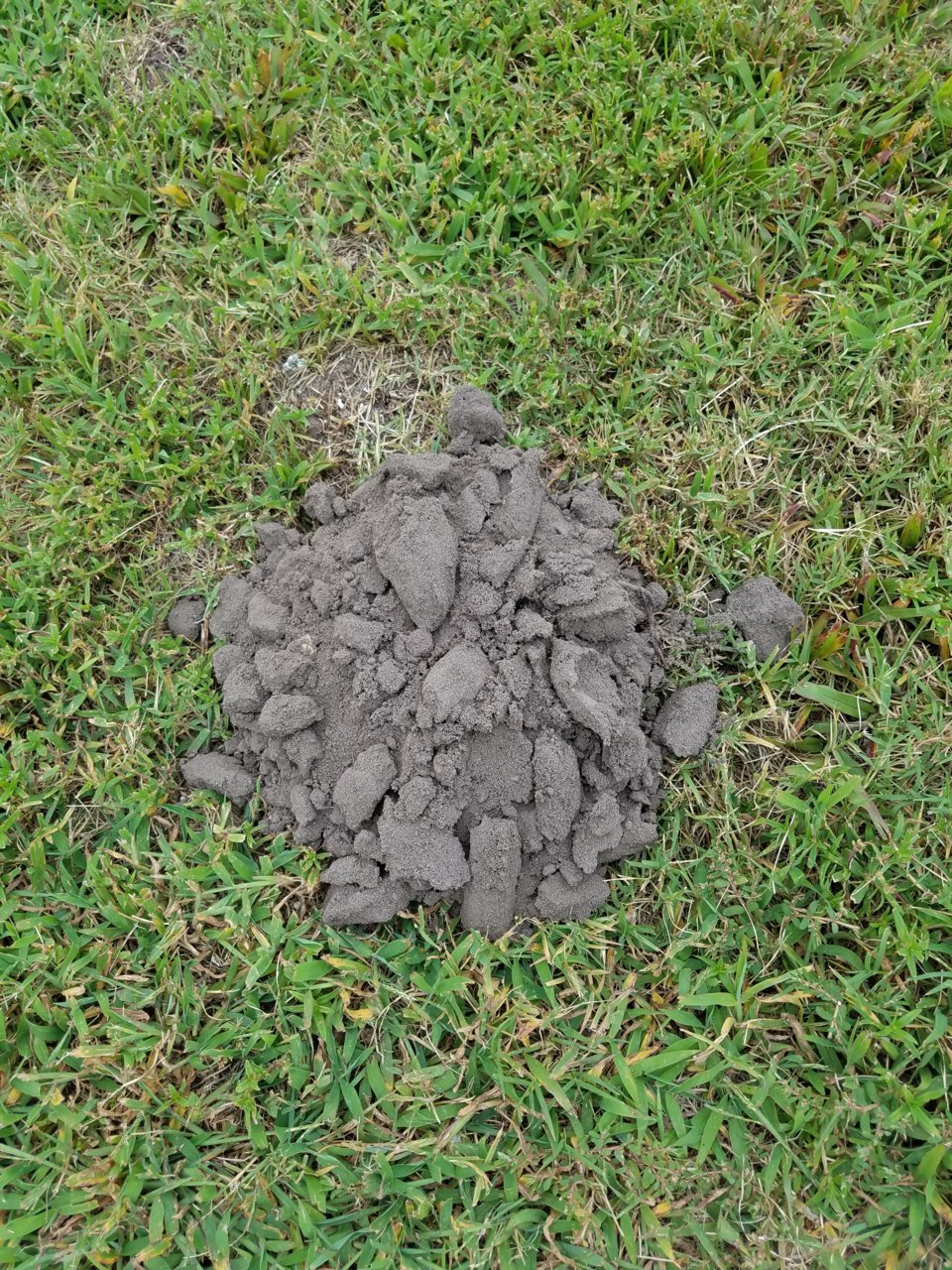 20200808_180924.jpg