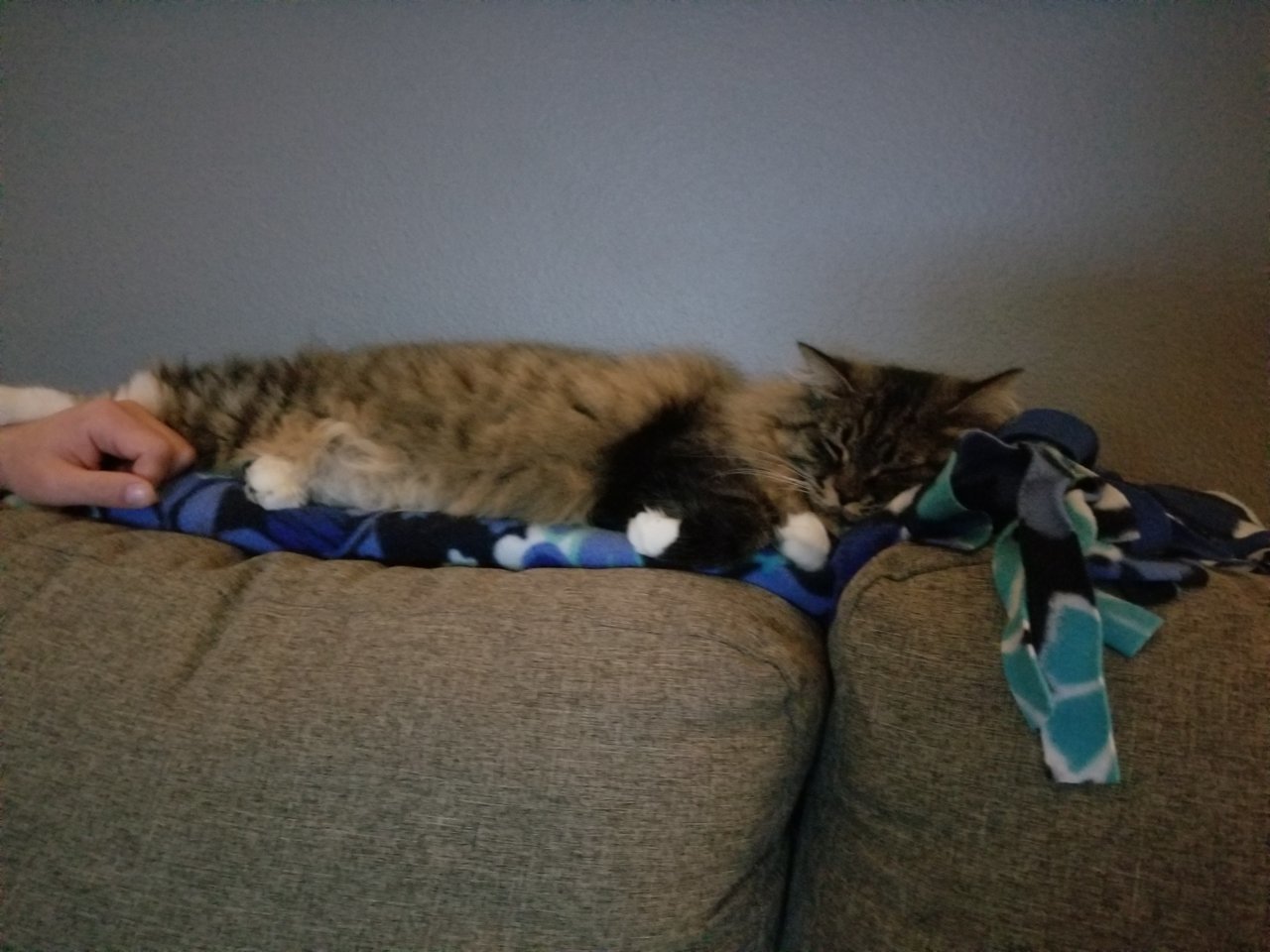 20200808_205844.jpg