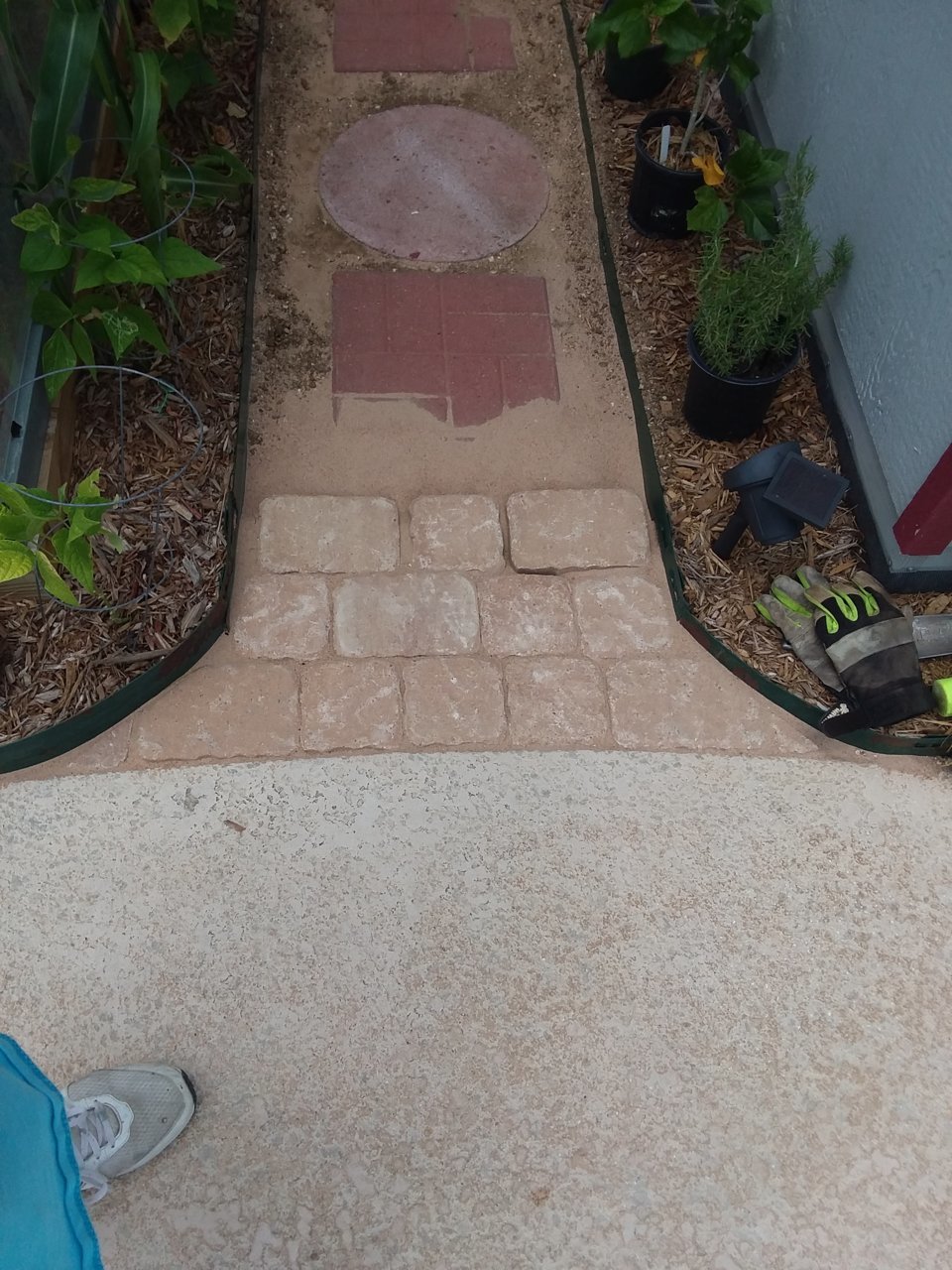 20200809_124310.jpg