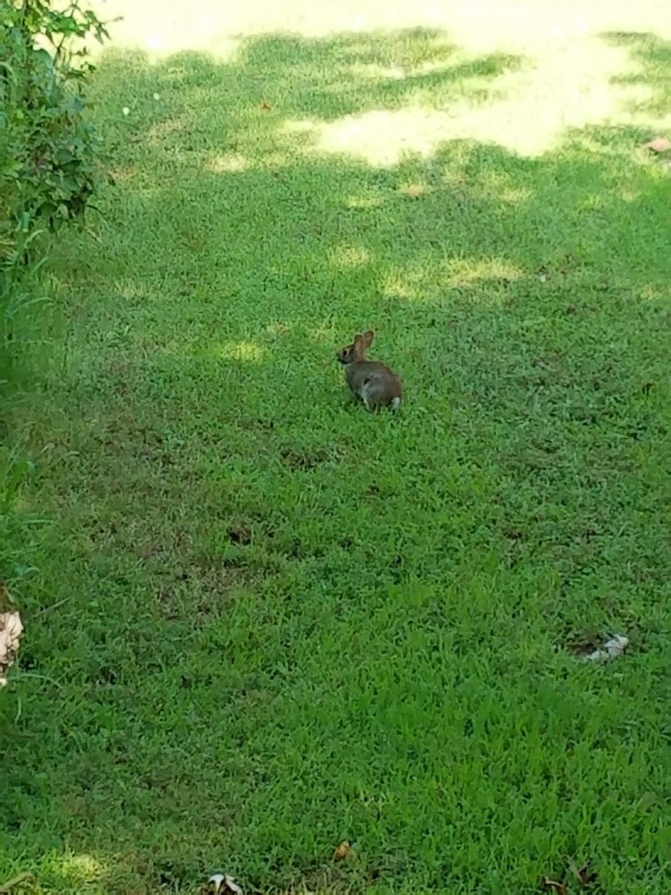 20200810_093414.jpg