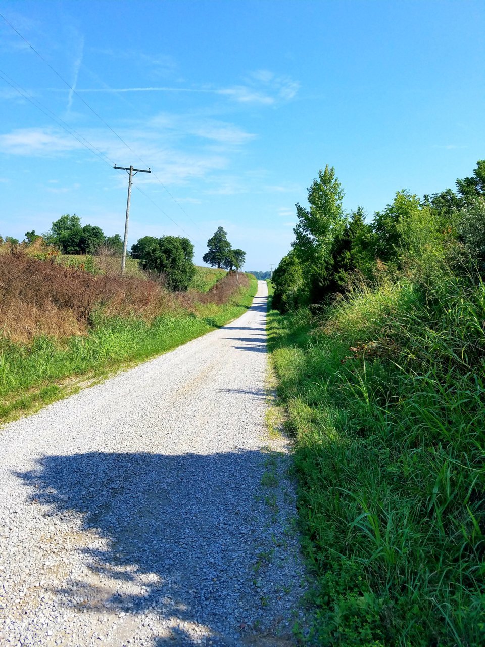 20200810_134259.jpg