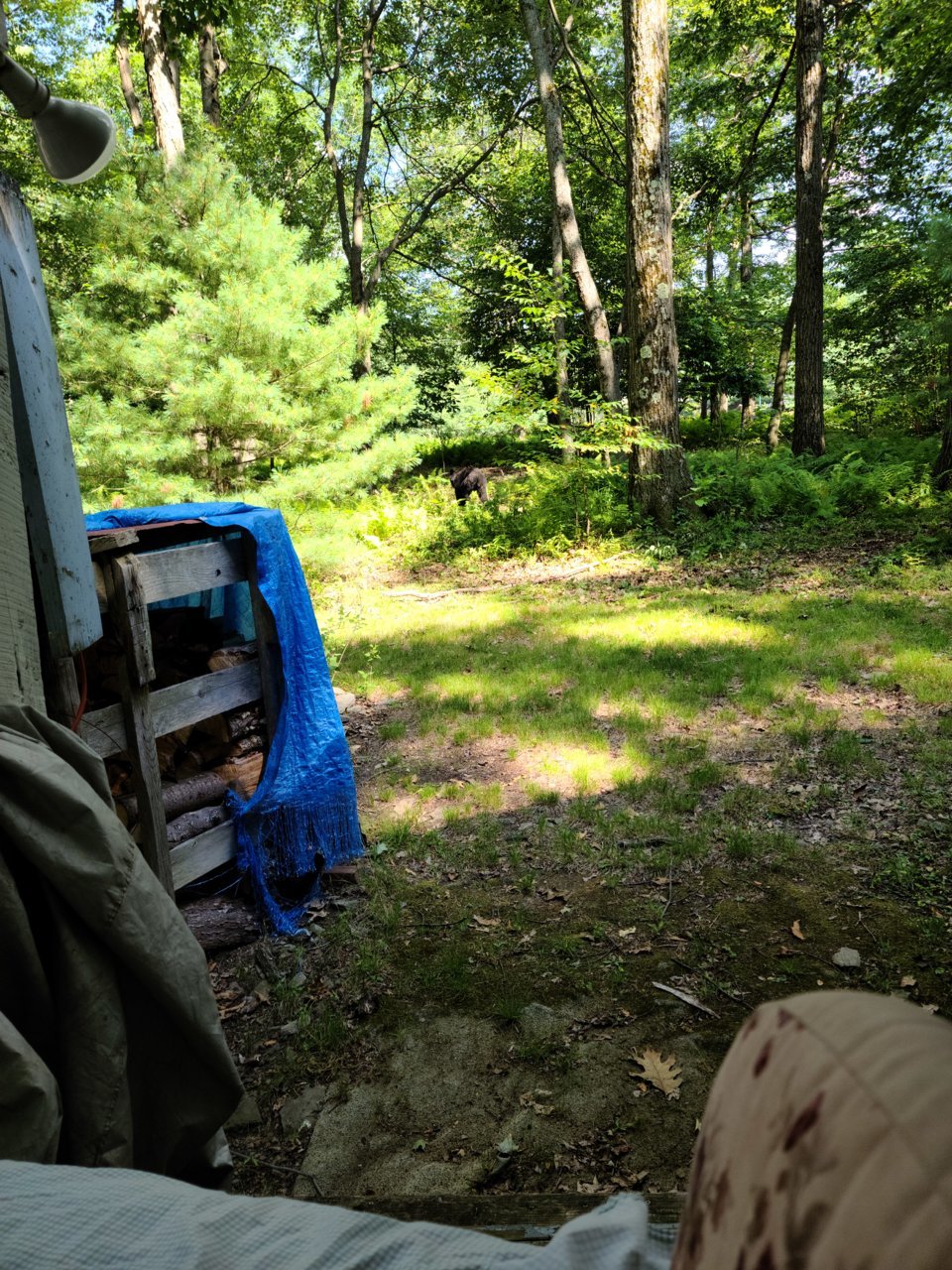 20200810_155446.jpg