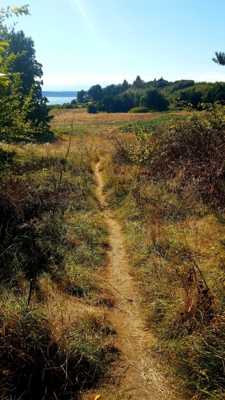 20200810_165238.jpg