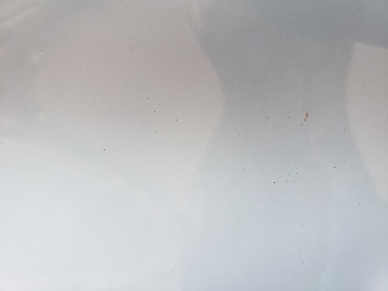 20200810_174310.jpg