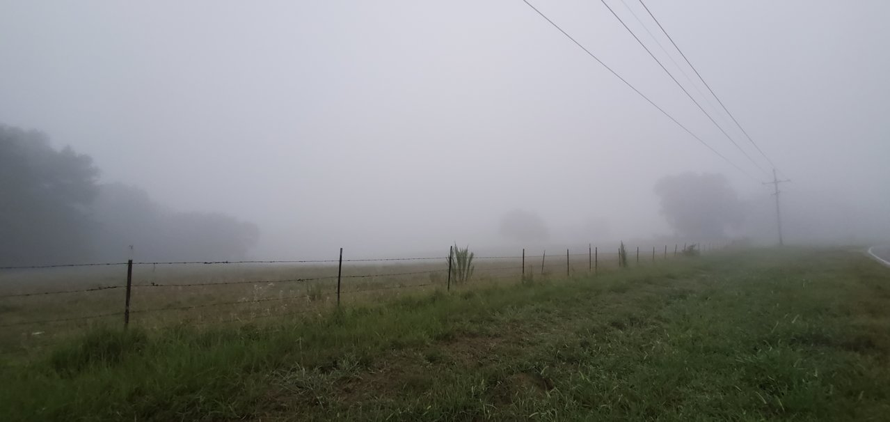 20200814_061717.jpg
