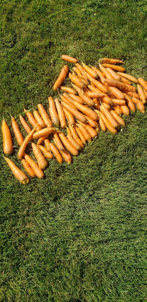20200814_103442.jpg