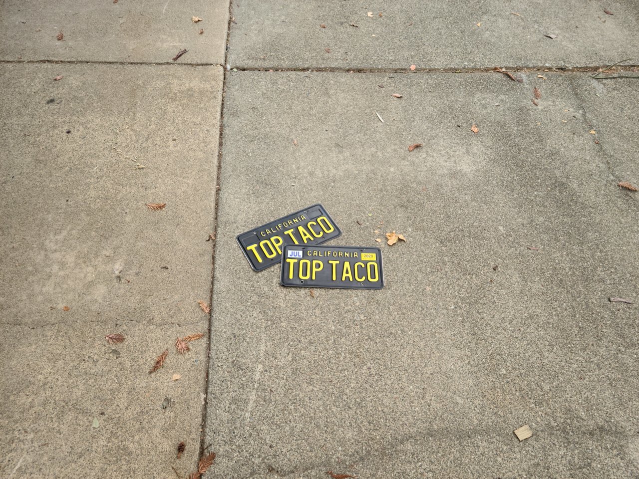 20200814_115230[1].jpg
