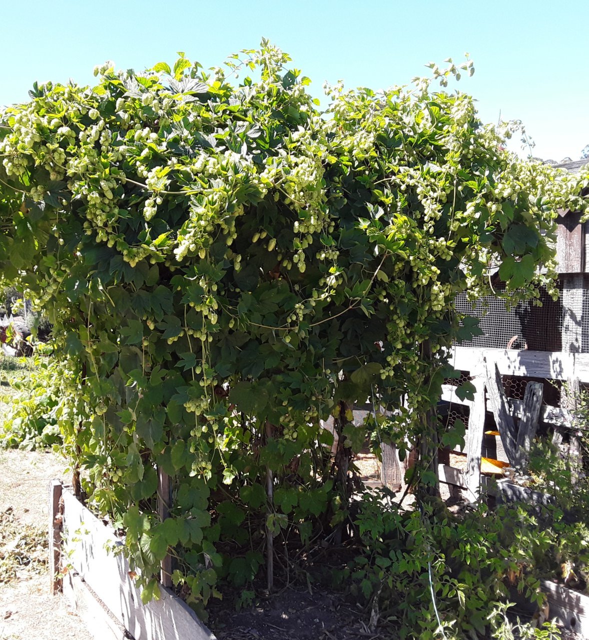 20200814_144524.jpg