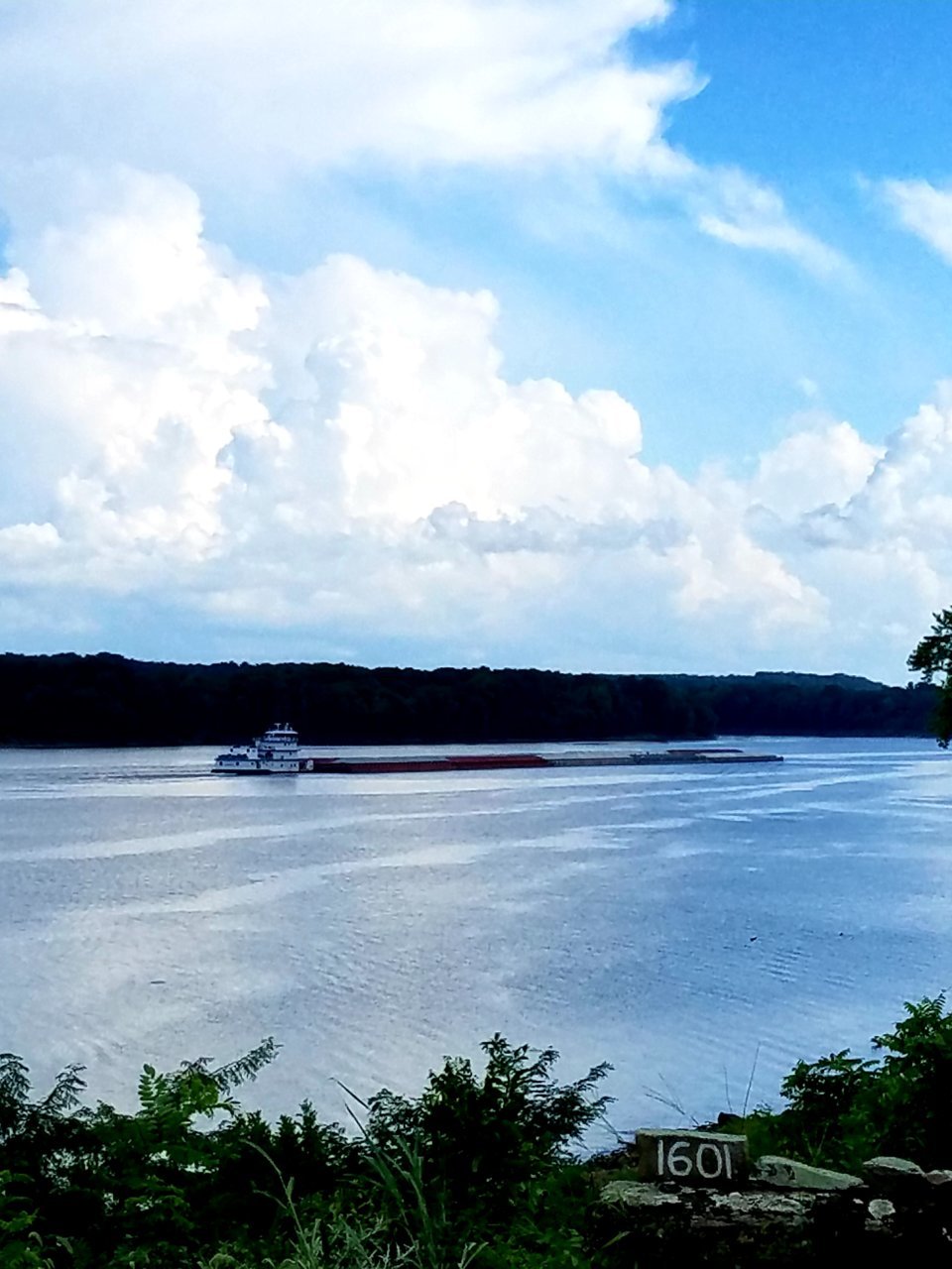 20200814_192952.jpg
