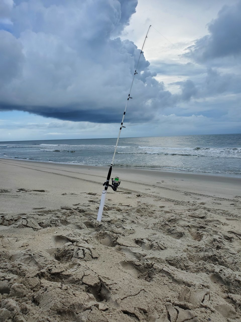 20200815_093637.jpg