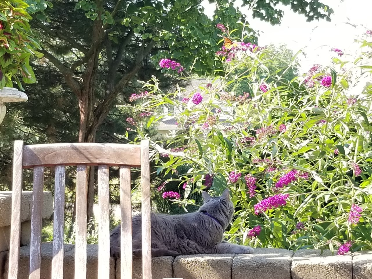 20200815_171507.jpg