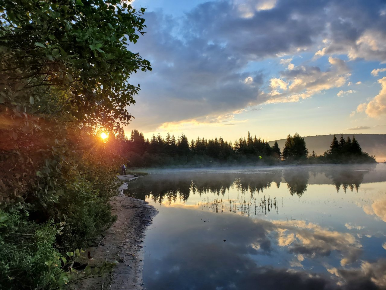 20200816_063613[1].jpg