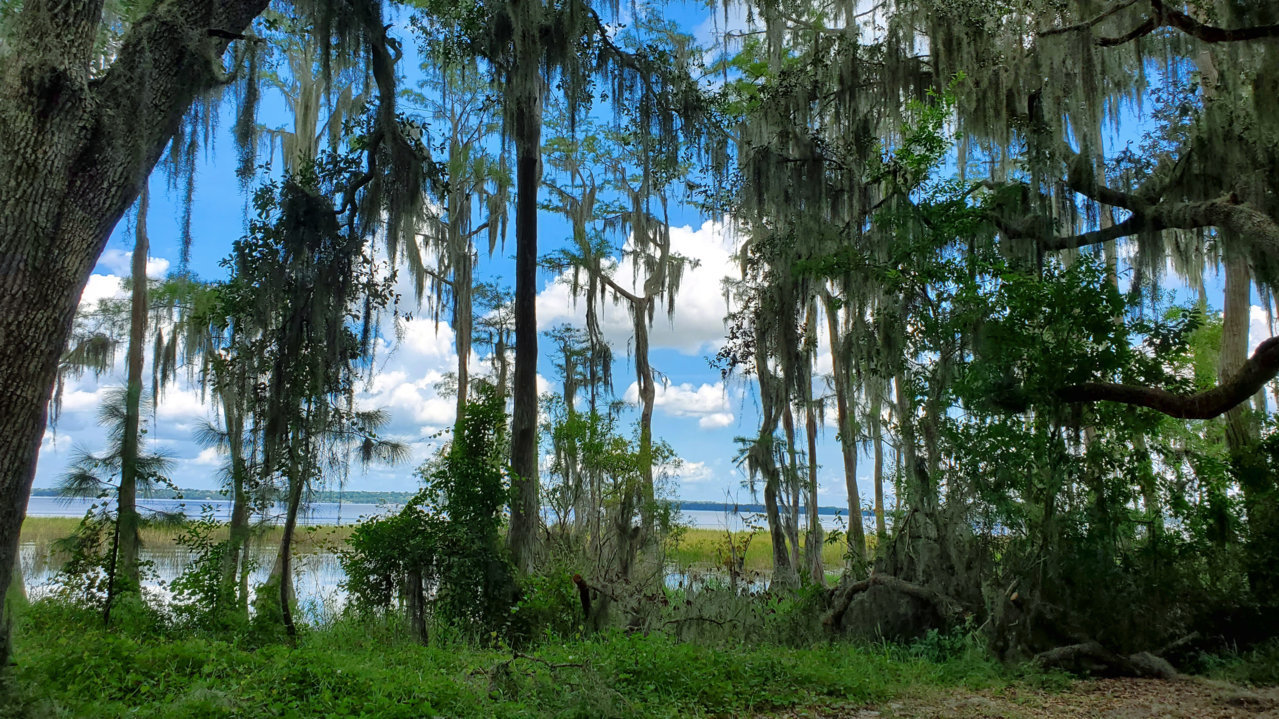 20200816_130507.jpg