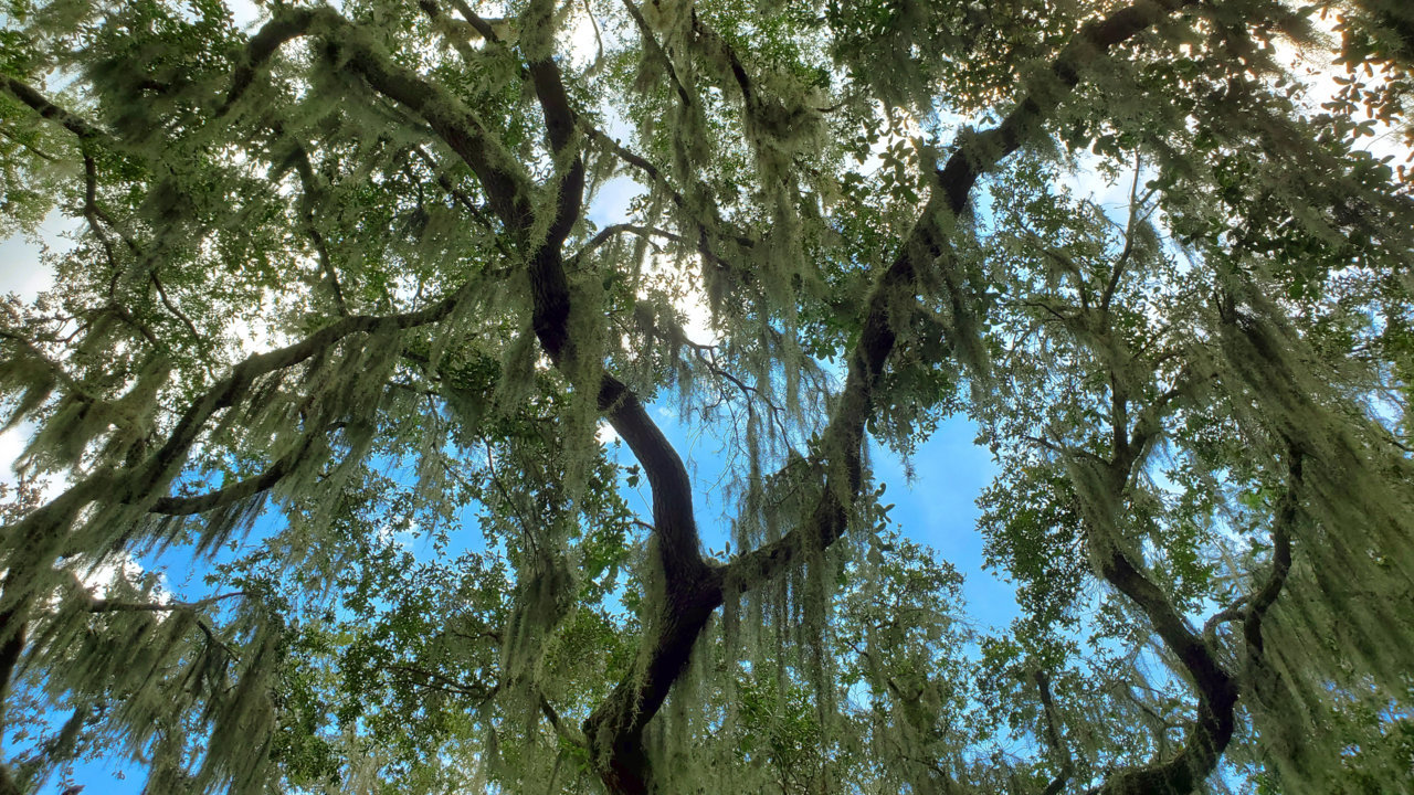 20200816_130547.jpg