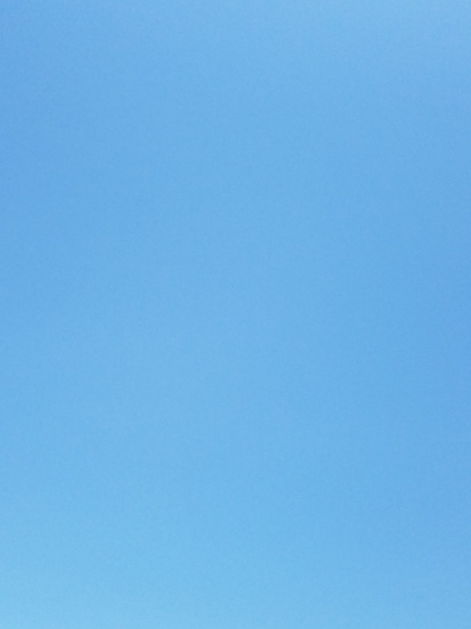 20200816_130709.jpg