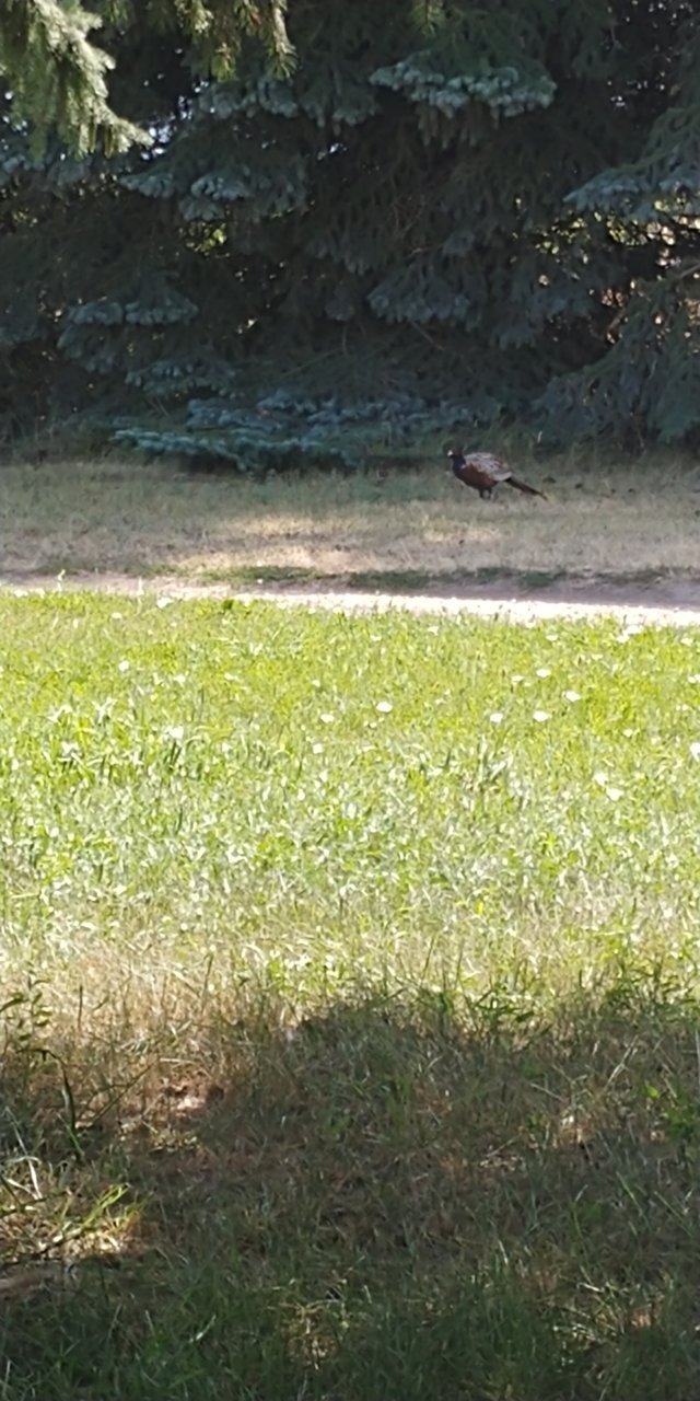 20200817_134028.jpg