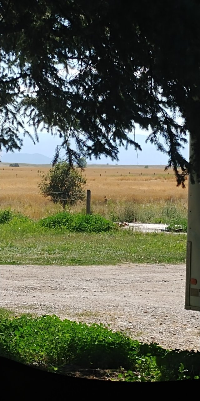 20200817_153402.jpg