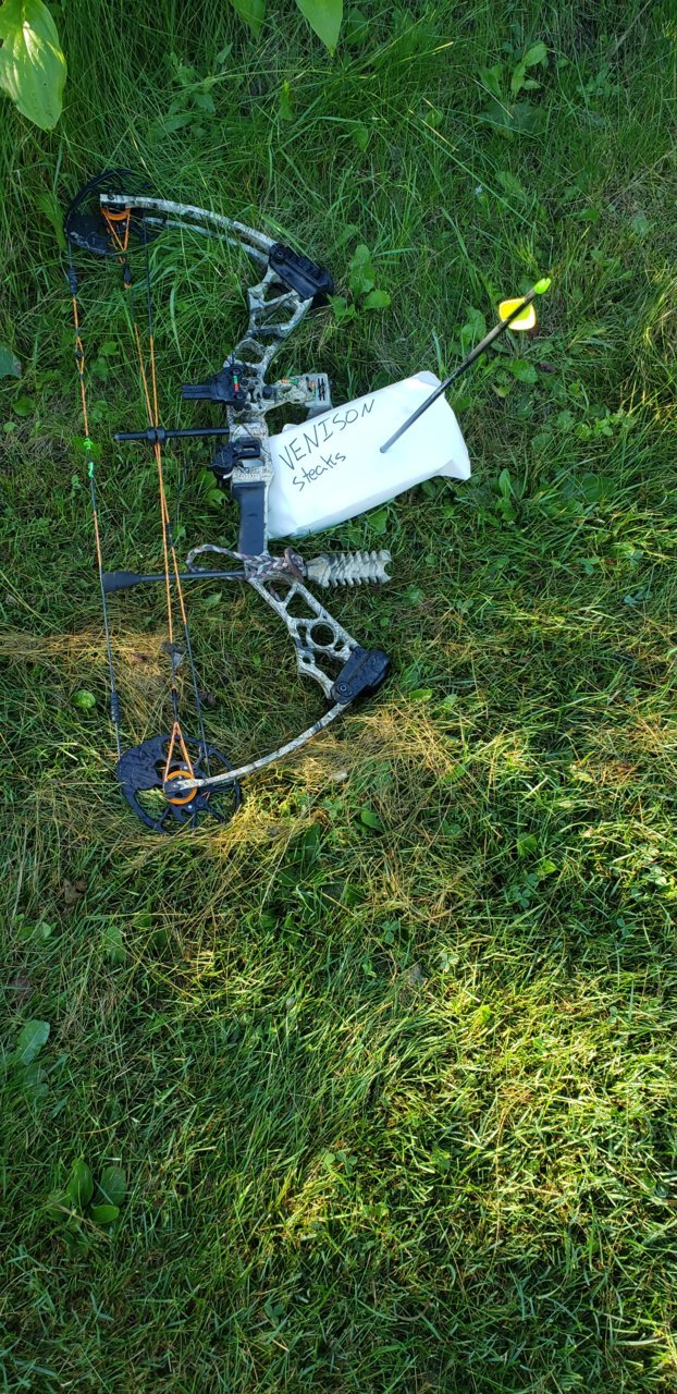 20200818_081513.jpg