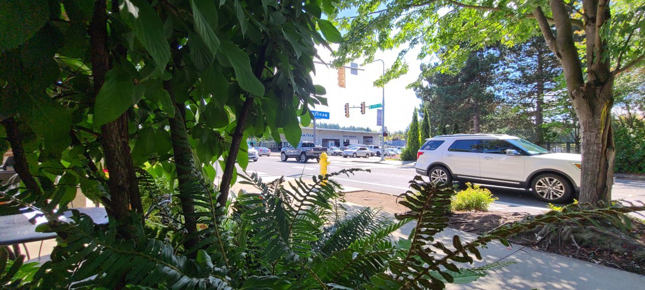 20200818_122613.jpg