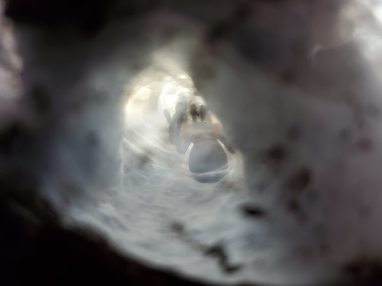 20200818_155933.jpg