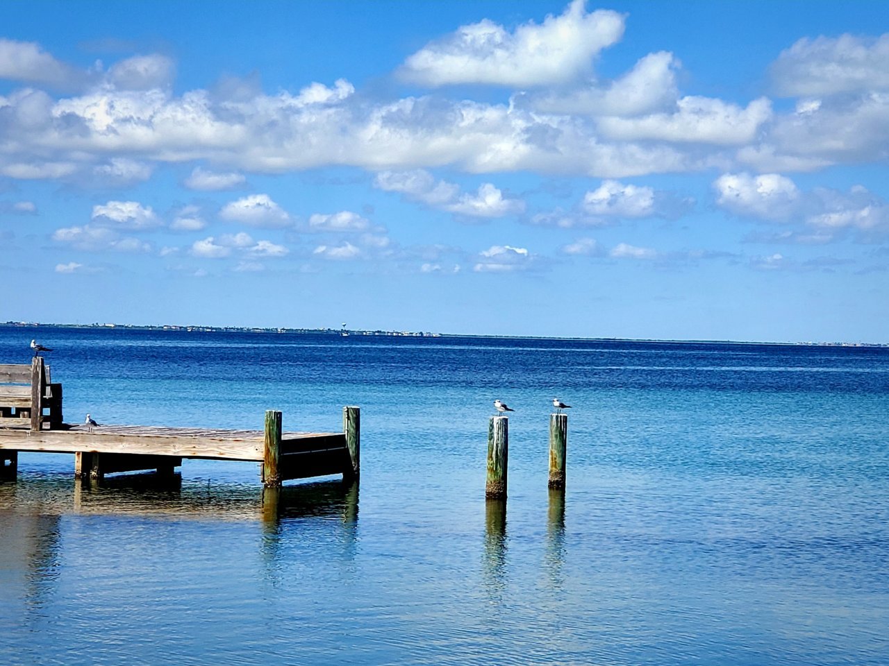 20200818_205654.jpg