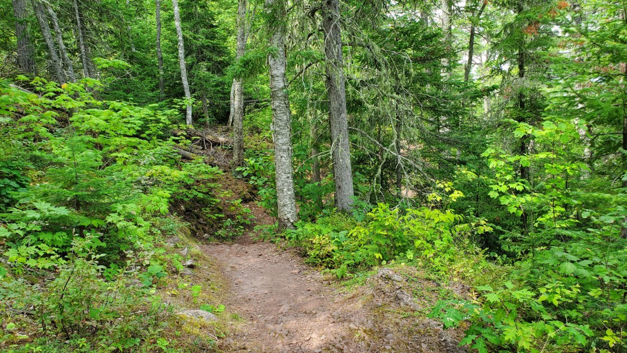 20200819_124954.jpg