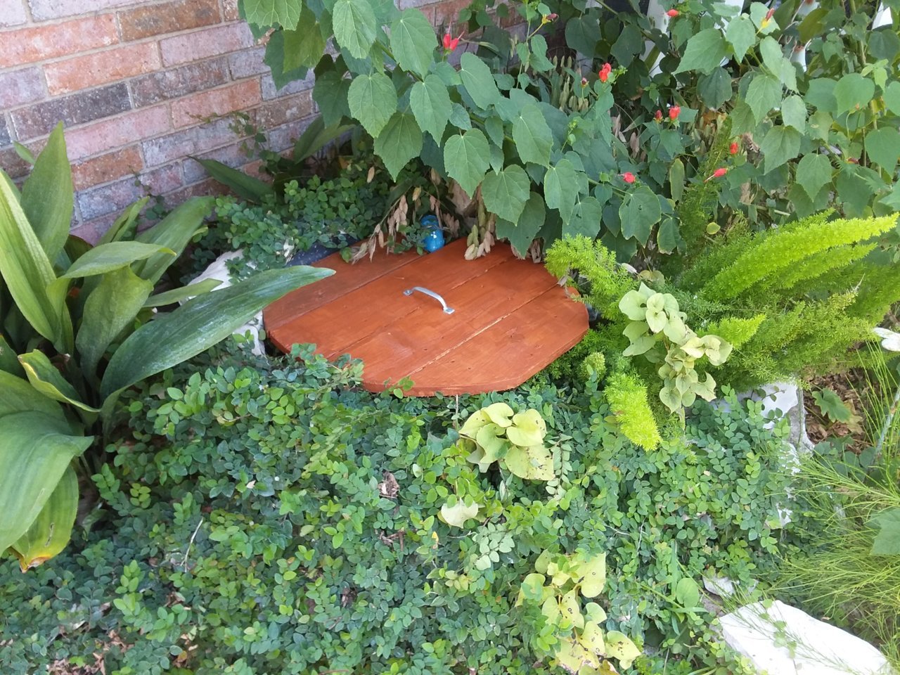20200820_133926.jpg
