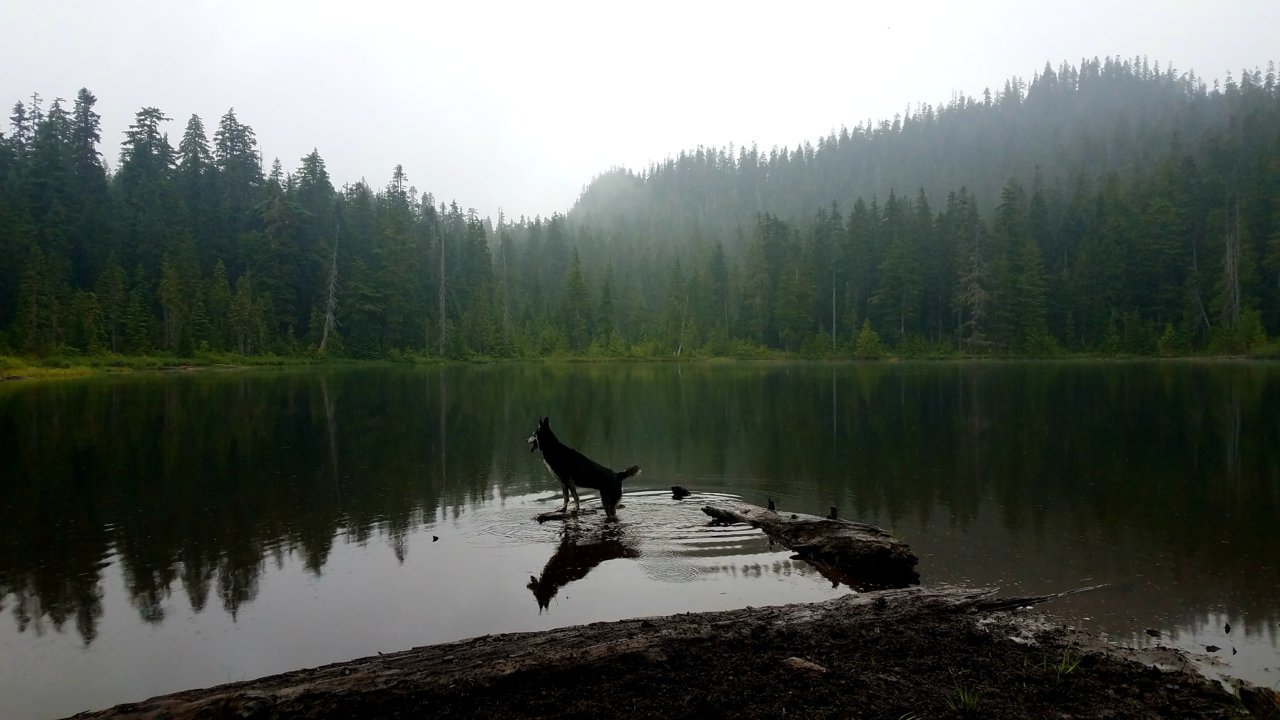 20200821_193718.jpg