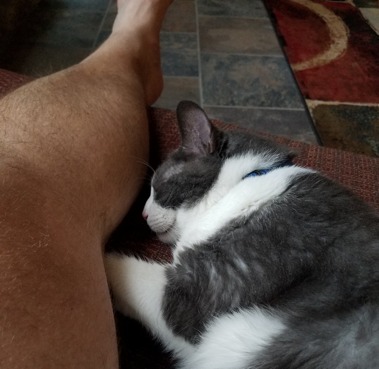 20200821_194158.jpg