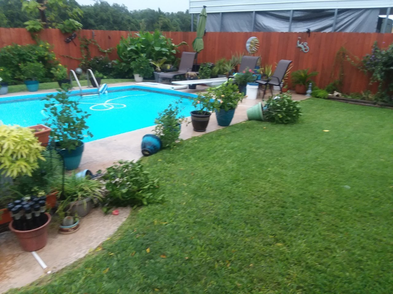 20200822_084936.jpg