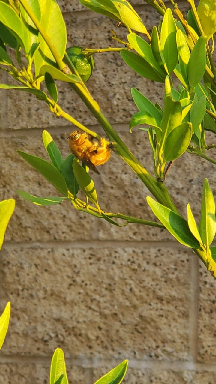 20200822_181826.jpg