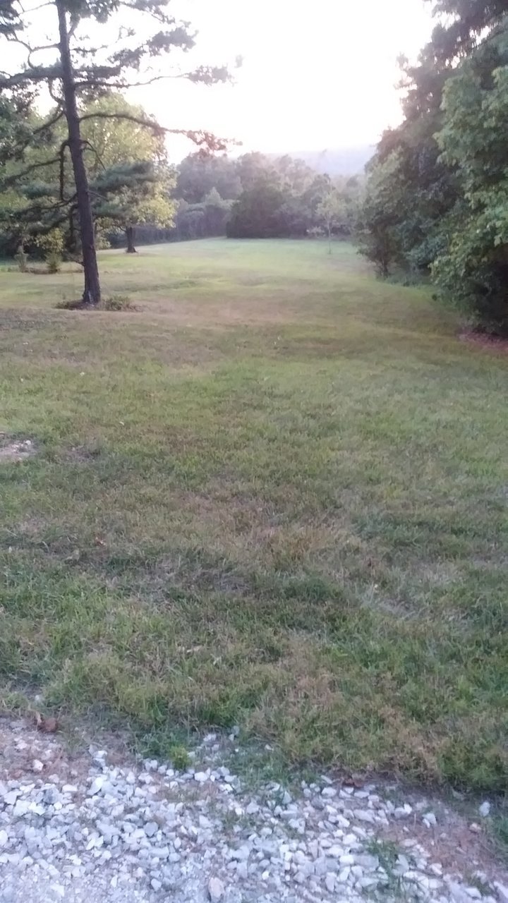 20200822_201117.jpg