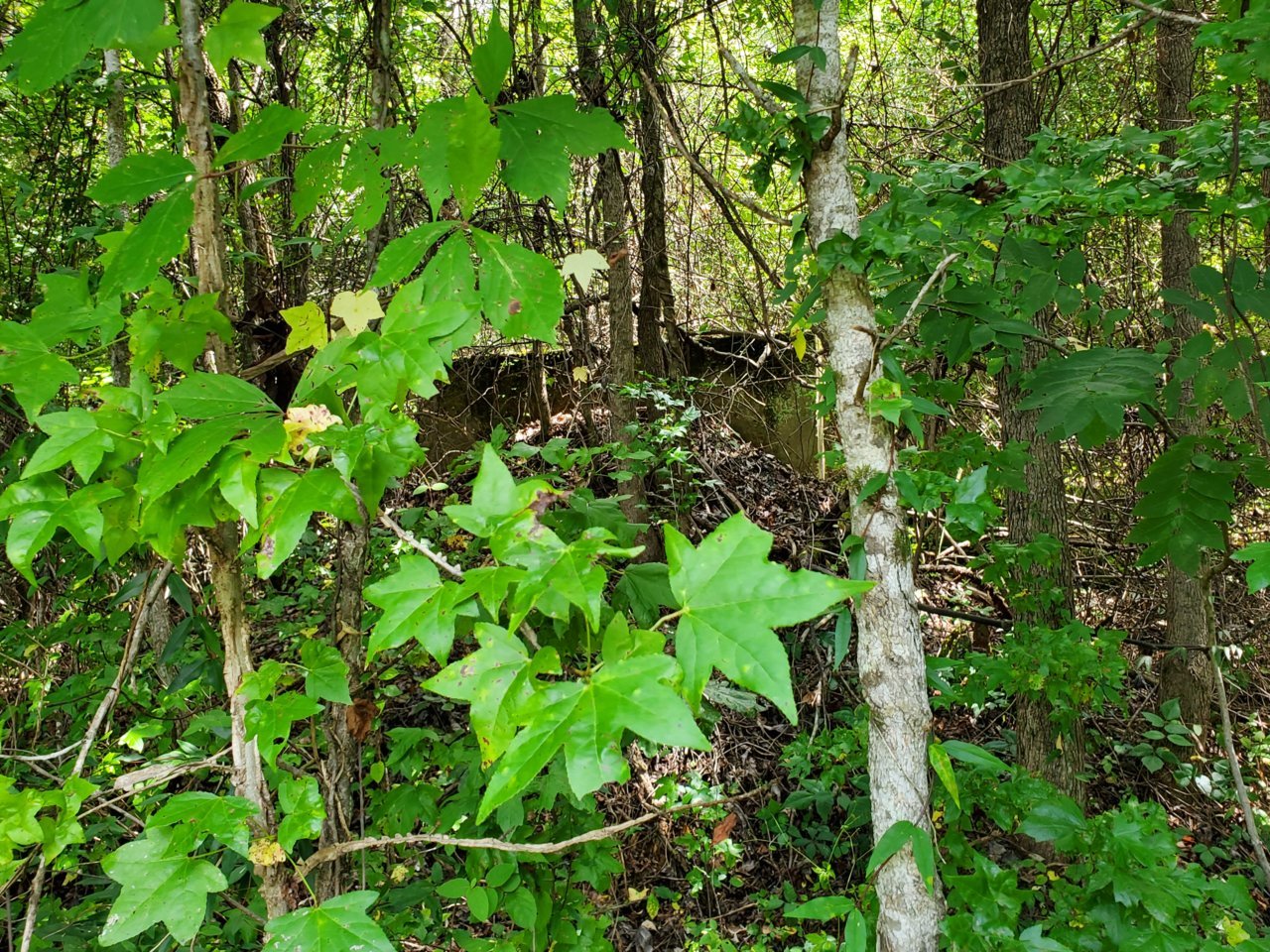 20200823_131358.jpg