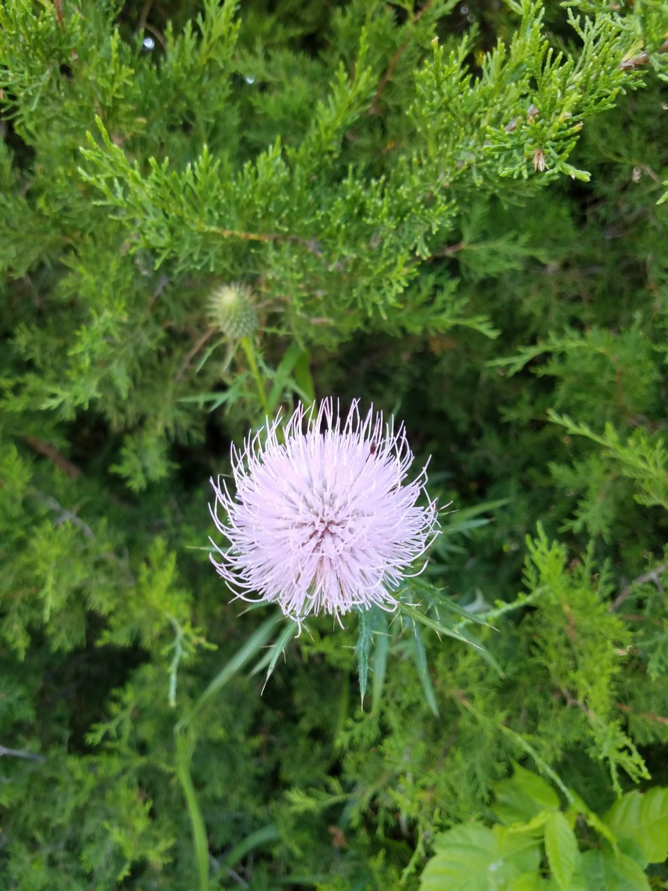 20200824_101841.jpg